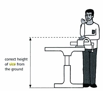 For general purpose, a bench vice is fixed at a height of